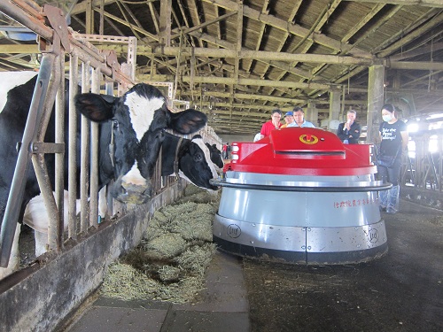 The application of robotic feed pusher with a WIFI vision system on the dairy farm