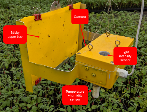 Automated Insect Pest Monitoring and Analysis Using Imaging and Environmental Sensor Network