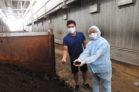 台東首家無臭全自動蛋雞畜牧場 恆溫恆濕全天候監控