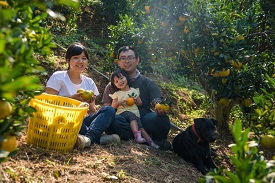 返鄉百大青農詹凱麟夫婦 推動在地農產平台「蔬菜箱」