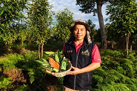 崇尚自然落實有機　張威然的真桂自然農場