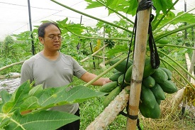 擁抱食安責任 對抗農藥有科學家精神的青年農民蘇豪欽