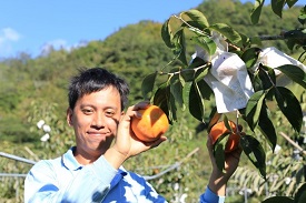 甜柿守護者–霧鹿部落青農余典