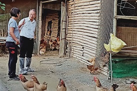 甜心有機農牧場，打造亞洲首座有機豬飼養場