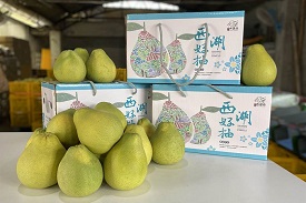 徐耀昌開直播化身1日柚農 百大青農推廣「菁」品牌