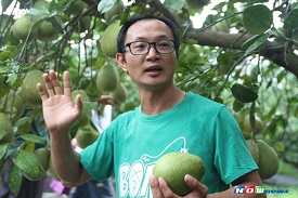 利用落果研發酵素滋養農地　游振葦栽植有機文旦柚