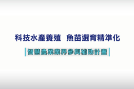 智慧農業業界參與補助計畫成果（水產養殖領域）－聖鯛水產科技