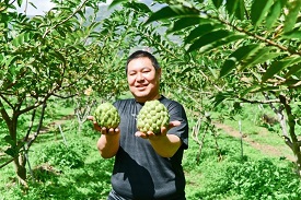 日昇之鄉·太麻里釋迦青農-張簡裕峰