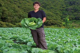 山嵐秘境綠森林 菜甜果香藏西寶