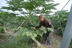 酷愛留長髮的農夫~林侃穎