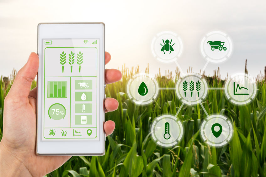 Smart Farming Gets a Headstart in the Philippines