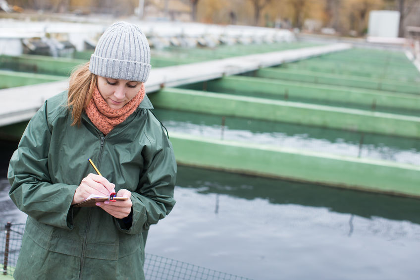 Data helps to drive down salmon mortalities by 41 percent