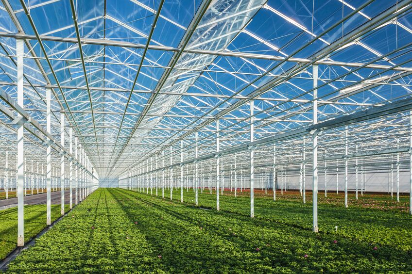 Israel: “Woven crop protection covers ensure better weather resistance and light distribution”