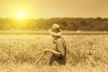 U.S. wheat crop hit by dry winter then soggy spring, adding to global tightness