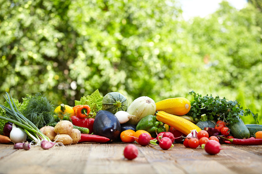 Super seeds at the grassroots of future resilient food systems