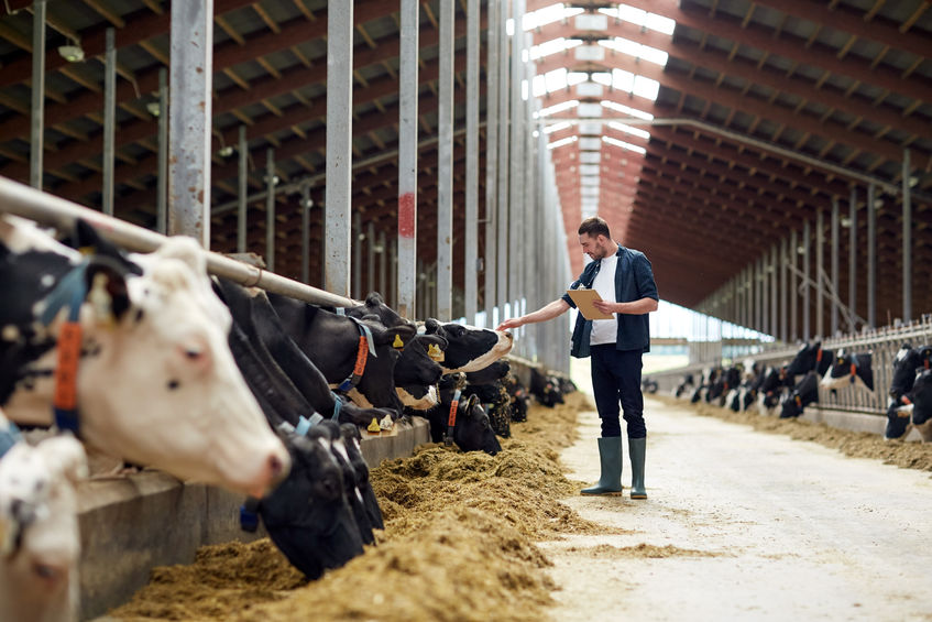 Northern Ireland agriculture: Turning tonnes of dung from waste to resource