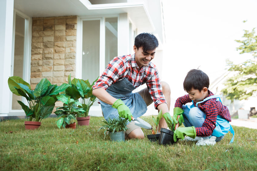 Organic farming has grown during the last decade in the EU