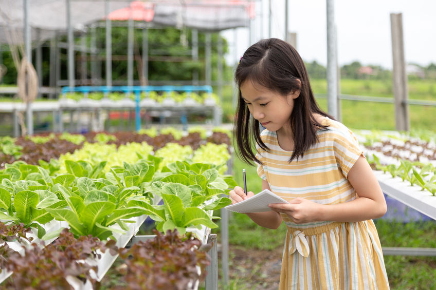 Backyard Farms Lettuce Launches from Florida & Colorado