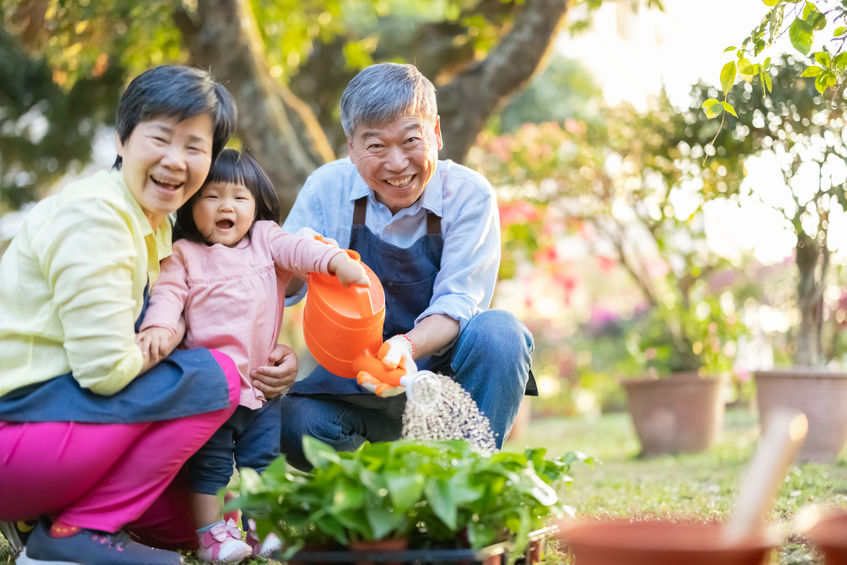 The Importance of Green Care for the Elderly