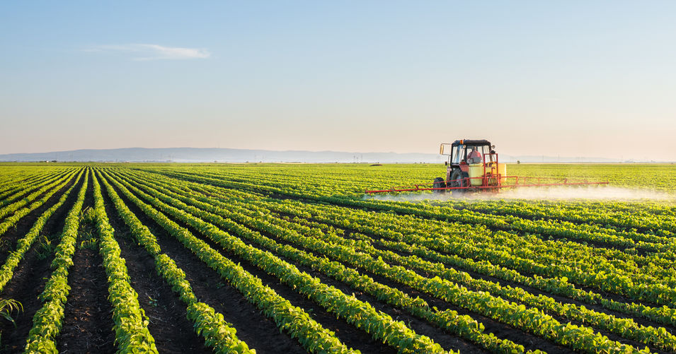 How slugs in wheat are being tackled through farm-based research