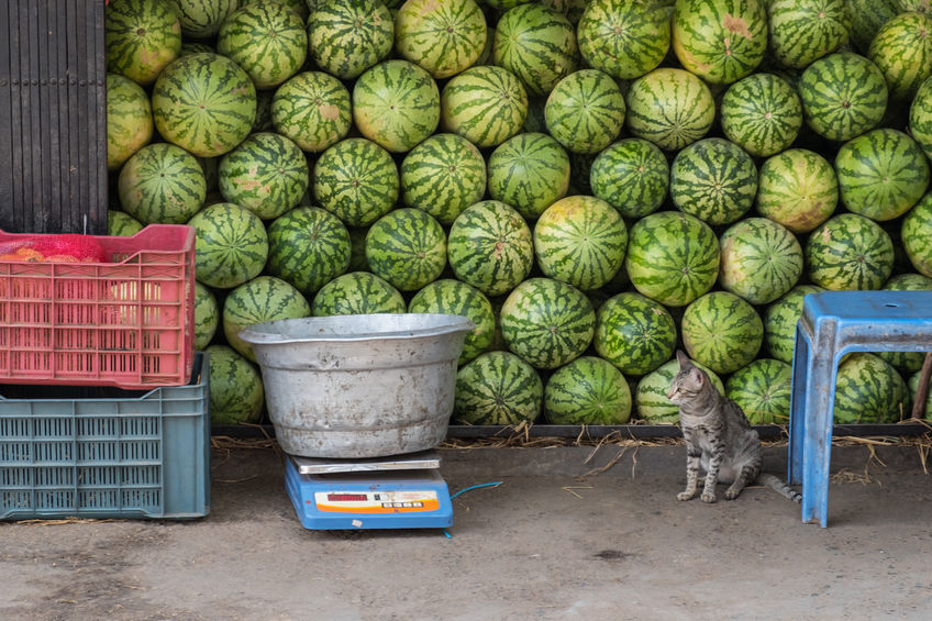 Hainan Emerging as Key Durian Production Hub