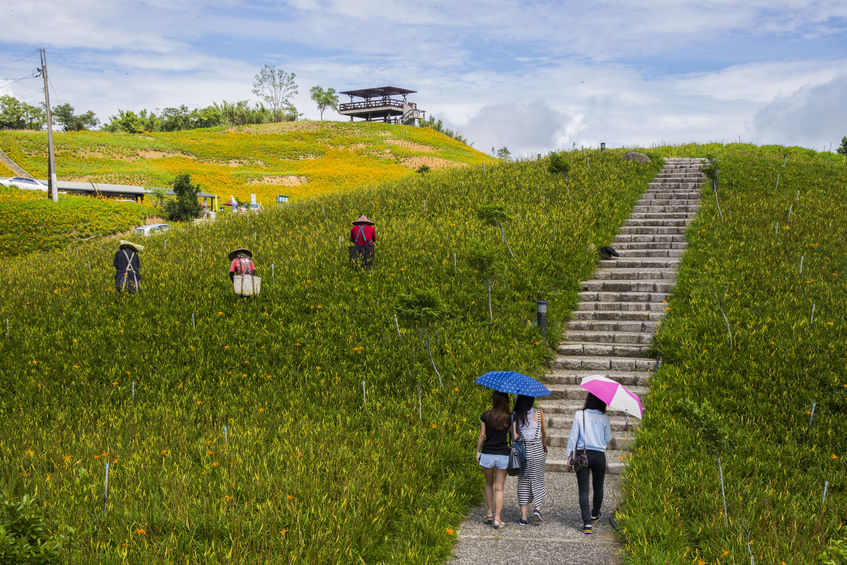 Exploring Local Cultural Characteristics to Enhance the Ecosystem of Regional Revitalization