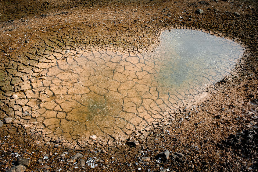 Vegetation stressed in Brazil's top soy state as rains disappoint