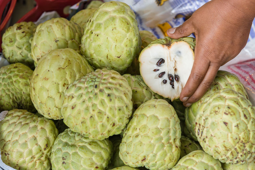 Custard apples Hoped to Break through Export Bottlenecks via Quick Freezing