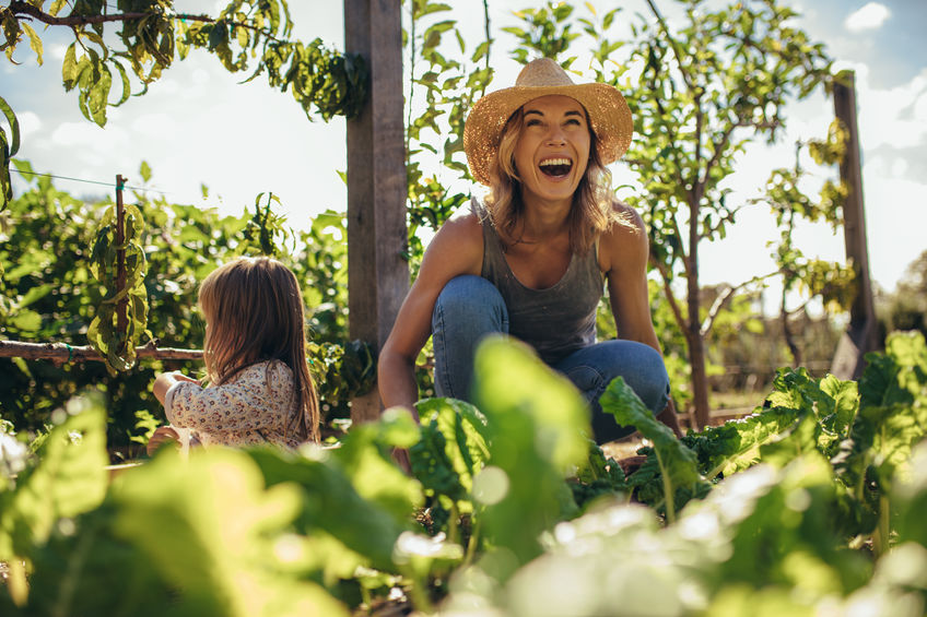 New tech boosts Dutch drive for sustainable farming