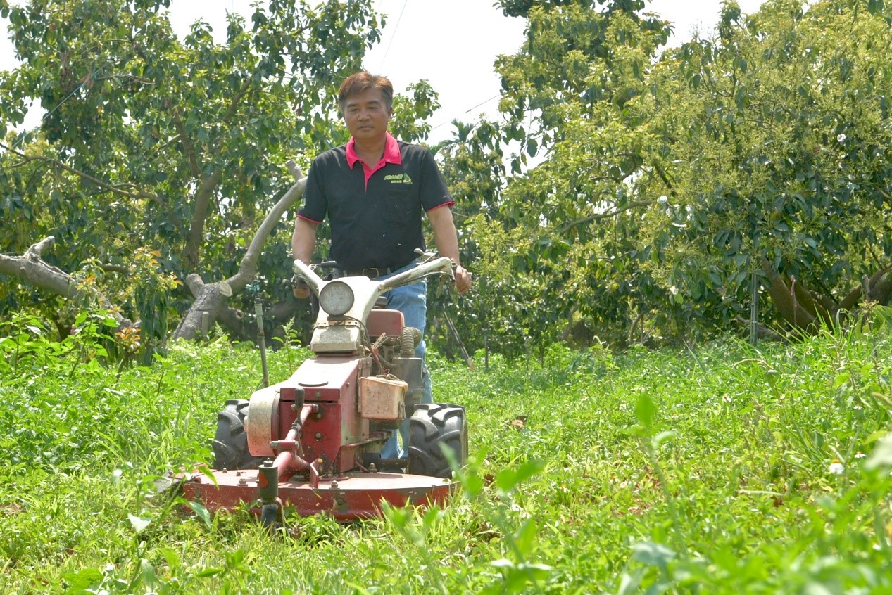 Blissful Essence from the Land: Interview with Shen Shih-Cheng, the "Avocado Maestro"