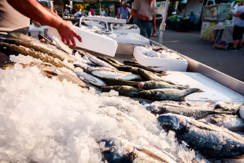 引領台灣永續食魚文化（產業），淺談興達港產業聚落