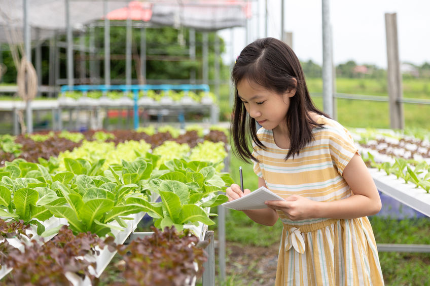 推動食農教育 臺東農改場於太麻里鄉香蘭國小辦理樹豆課程