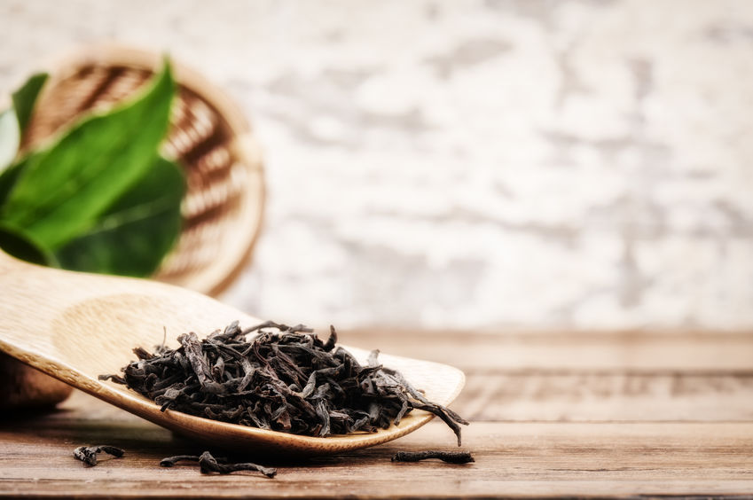 亮點茶莊邀您體驗宜蘭冬山茶鄉多元魅力