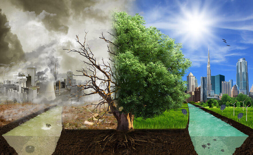 Tackling water scarcity requires speed, scale and determination, FAO says