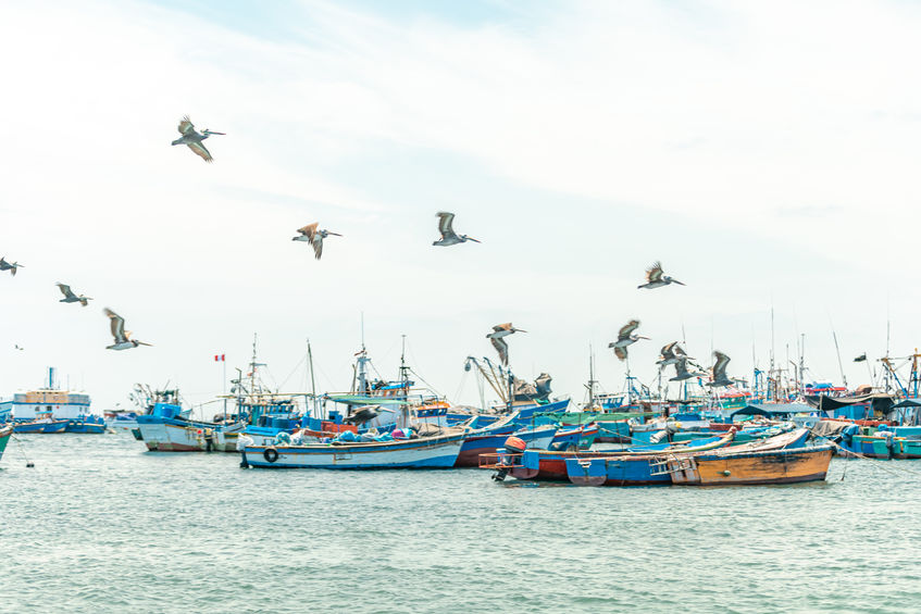 เยือนเมืองมิยางิ ประเทศญี่ปุ่น ค้นหาเสน่ห์ของการประมงอย่างยั่งยืนผ่านการพัฒนาเมือง