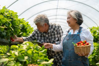Elderly Care in the Agricultural Sector in Taiwan and Japan: Practices in Food and Agricultural Education and Health Promotion