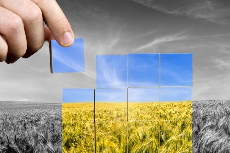 Spring Wheat Crop Less Than Meets the Eye, Annual Tour Shows
