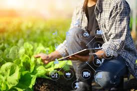 科技助陣農業，農民輕鬆掌握