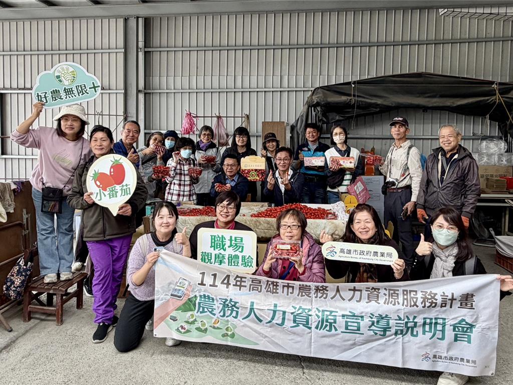 高雄美濃缺工新解方 銀髮族採番茄變身即戰力