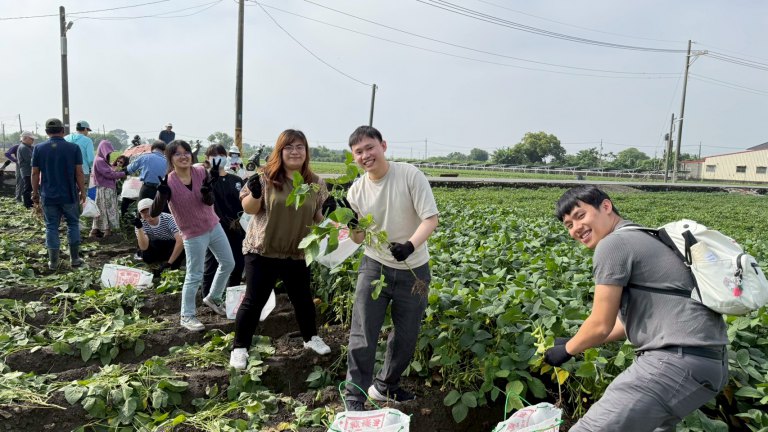 「芹豆初開」走進新園農田　義守大學USR打造永續食農與綠色新商機