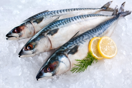 New FAO publication describes global fish fraud and the tools to combat it
