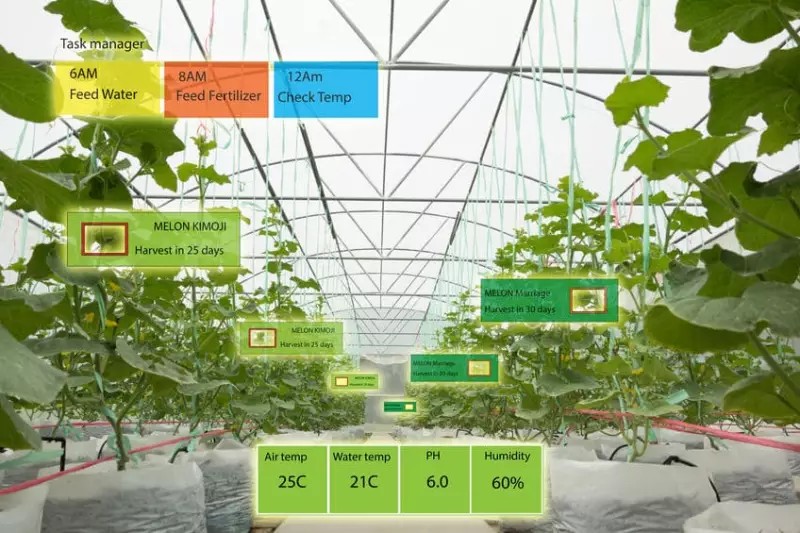 Smart Cultivation for the Future: Deep Roots and Fruitful Harvest in Taiwan Ready to Pioneer Smart Agriculture in Thailand
