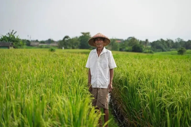 An Era of Severe Labor Shortages: Taiwan's Agricultural Crisis, Challenges, and New Responses.