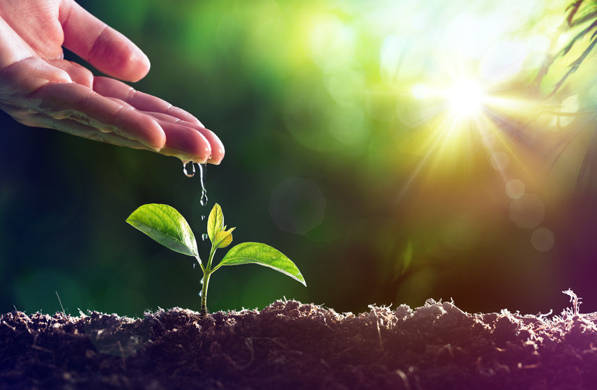 蜂箱定時自動啟閉 不只省人工 還提升百香果著果率、增產3成