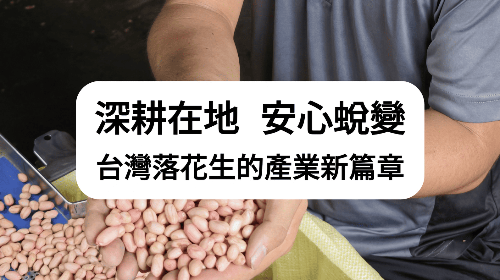 CPC Project Results｜Rooted in Local Communities,Transforming with Quality – A New Chapter for Taiwan’s Peanut Industry