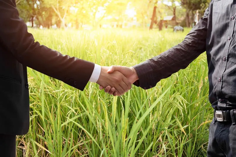 Focusing on Strategic Objectives: Unlocking the Potential of  Agricultural Strategic Alliances