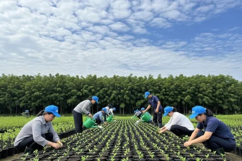 食農教育如何協助企業落實ESG