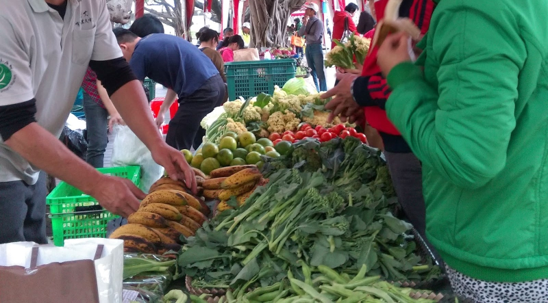 Transaction of organic vegetables and fruits