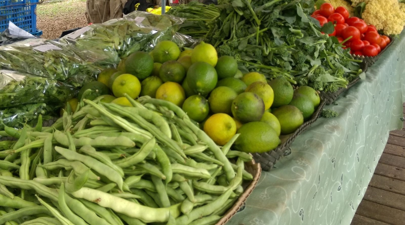 A variety of unpackaged vegetables and fruits at the NCHU Farmers' Market