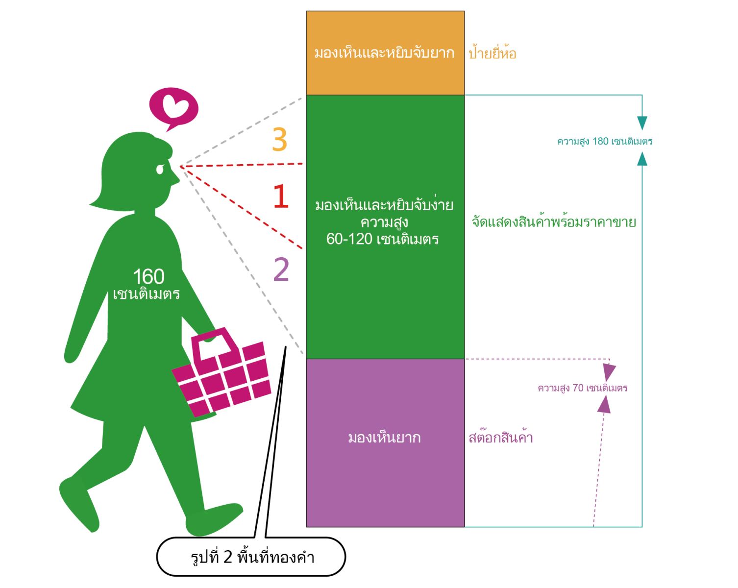 รูปที่ 2 พื้นที่ทองคำ